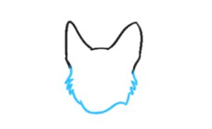 How to Draw a German Shepherd Face Step 3