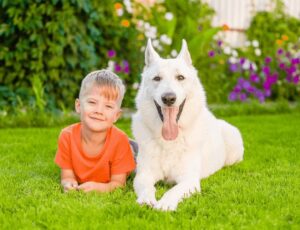 White German Shepherds Good With Kids