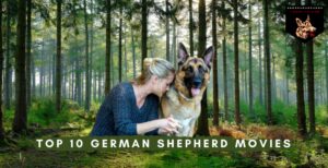 German Shepherd Movies