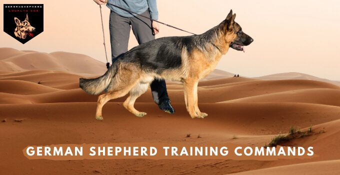 German Shepherd Commands List