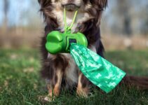 Dog Poop Bags: A Guide to Going Green and Keeping the Environment Clean