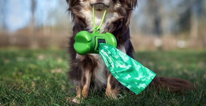 Dog Poop Bags: A Guide to Going Green and Keeping the Environment Clean