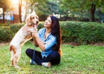 Teaching Old Dogs New Tricks: The Benefits of Obedience Training